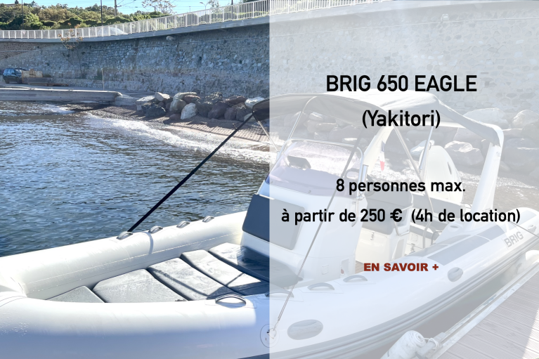 Details de BRIG 650 EAGLE