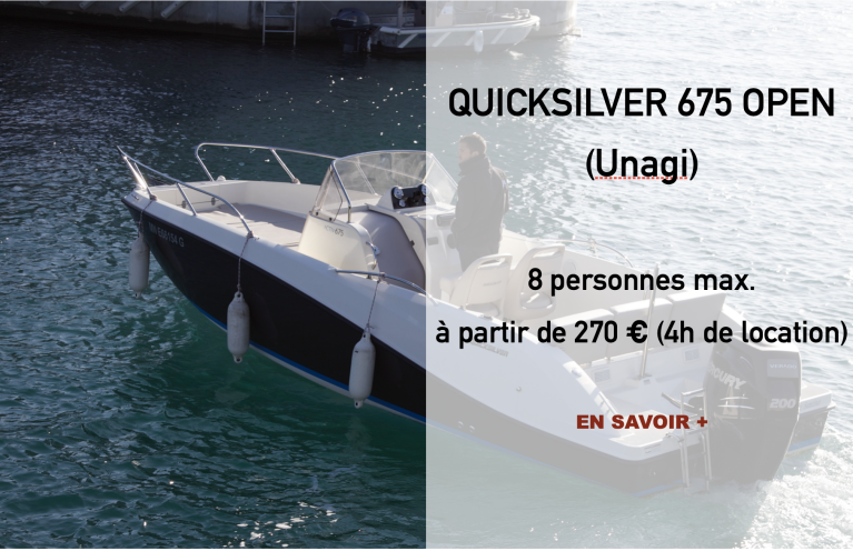 Details sur Quicksilver 675 Open